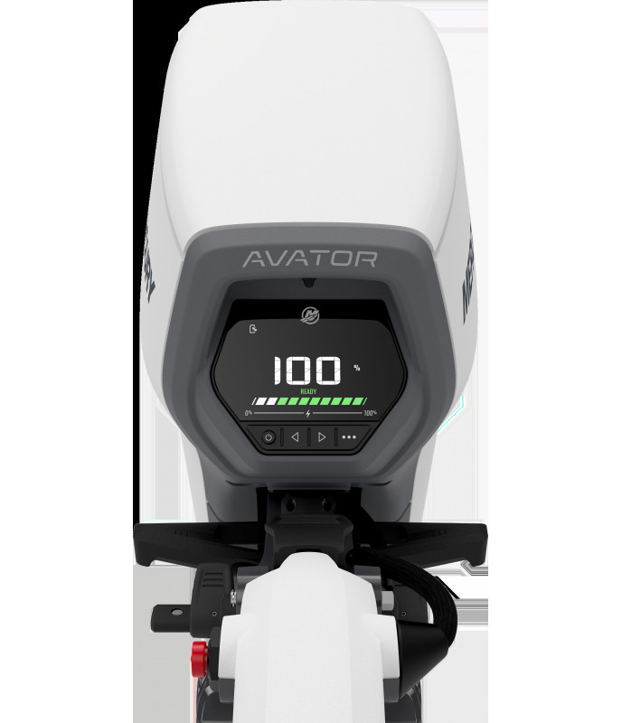 Mercury Avator 7.5 electric motor