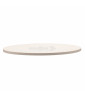 Brunner PIZZA PLATE BBQRUISER