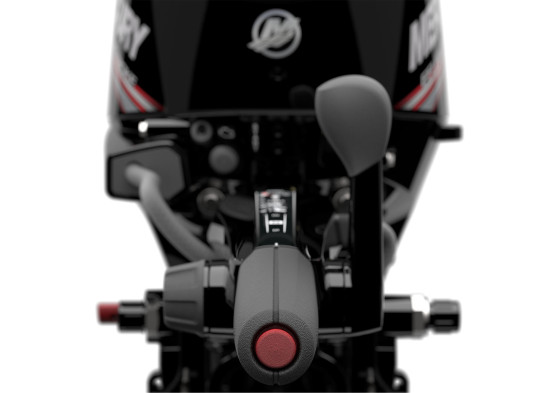 Mercury F15 EFI HP 4-STROKE Engine