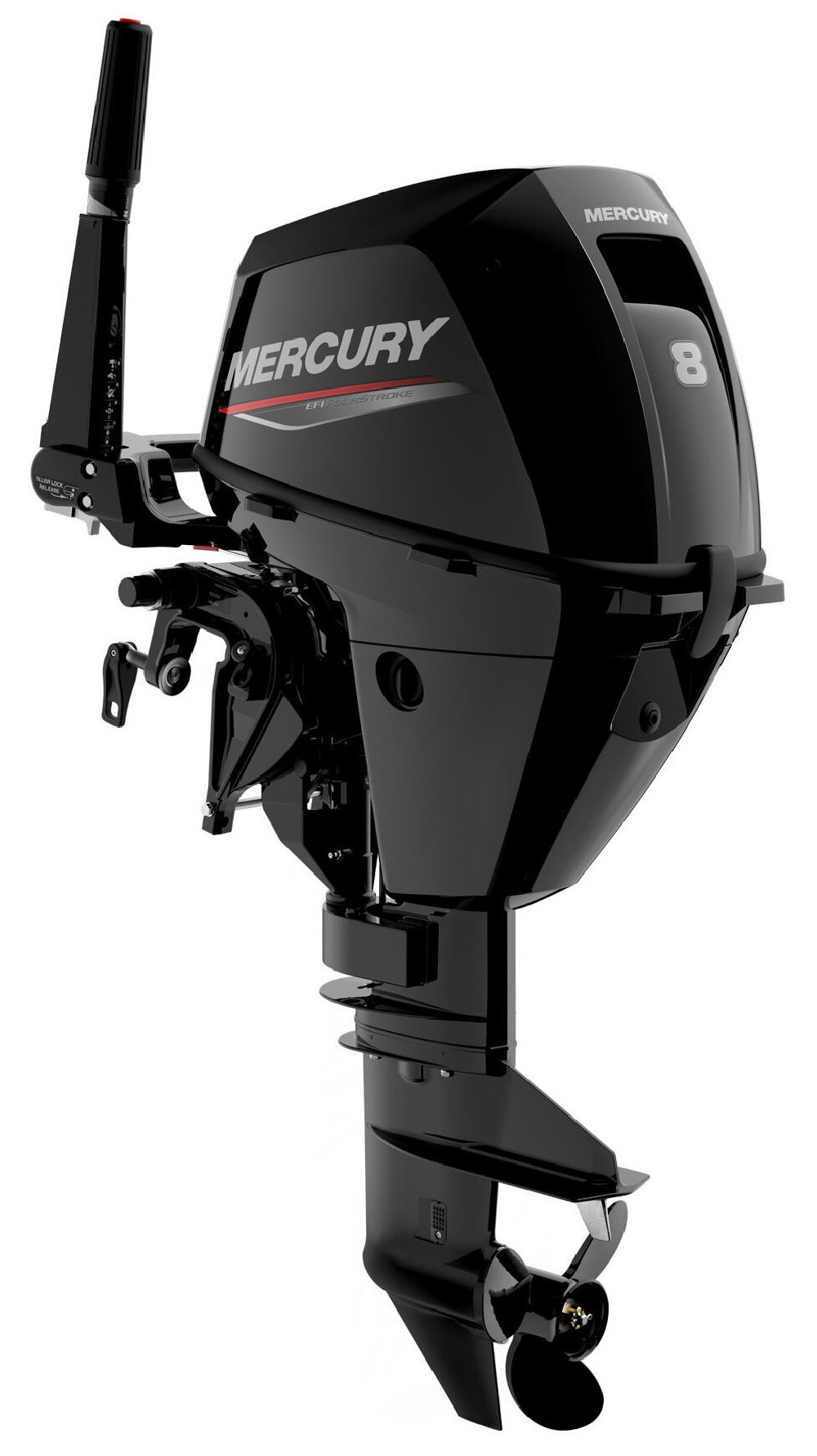 Mercury Motore fuoribordo F8 HP EFI MH 4 Tempi